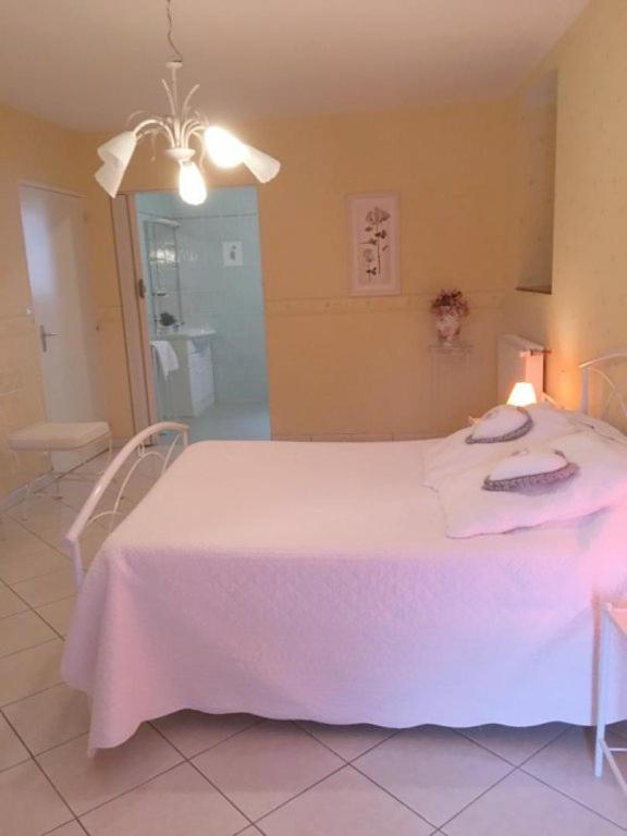 Chambres D'Hotes Du Maspourquet Saint-Santin-Aveyron 외부 사진